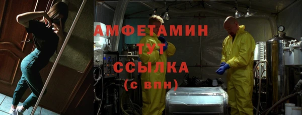 сатива Каменка