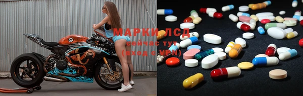 сатива Каменка