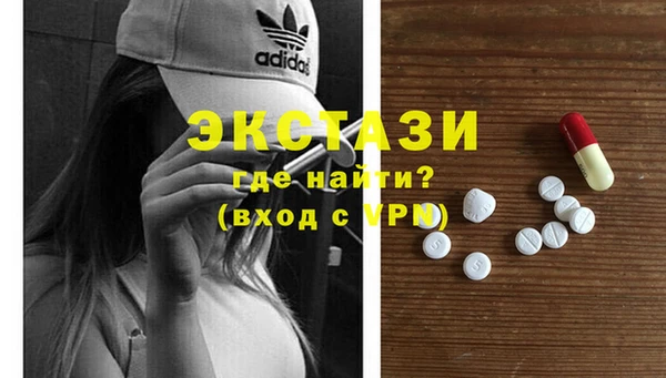 сатива Каменка