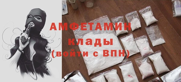 сатива Каменка