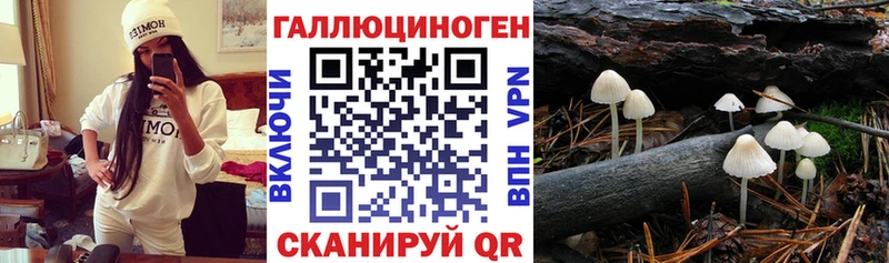 Псилоцибиновые грибы Psilocybine cubensis  Купить закладки  Ахтубинск 